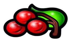 Cherries symbol paying 10x for three, 5x for two, 2x for one