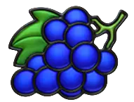 Grapes symbol paying 100 for five, 40 for four, 8 for three